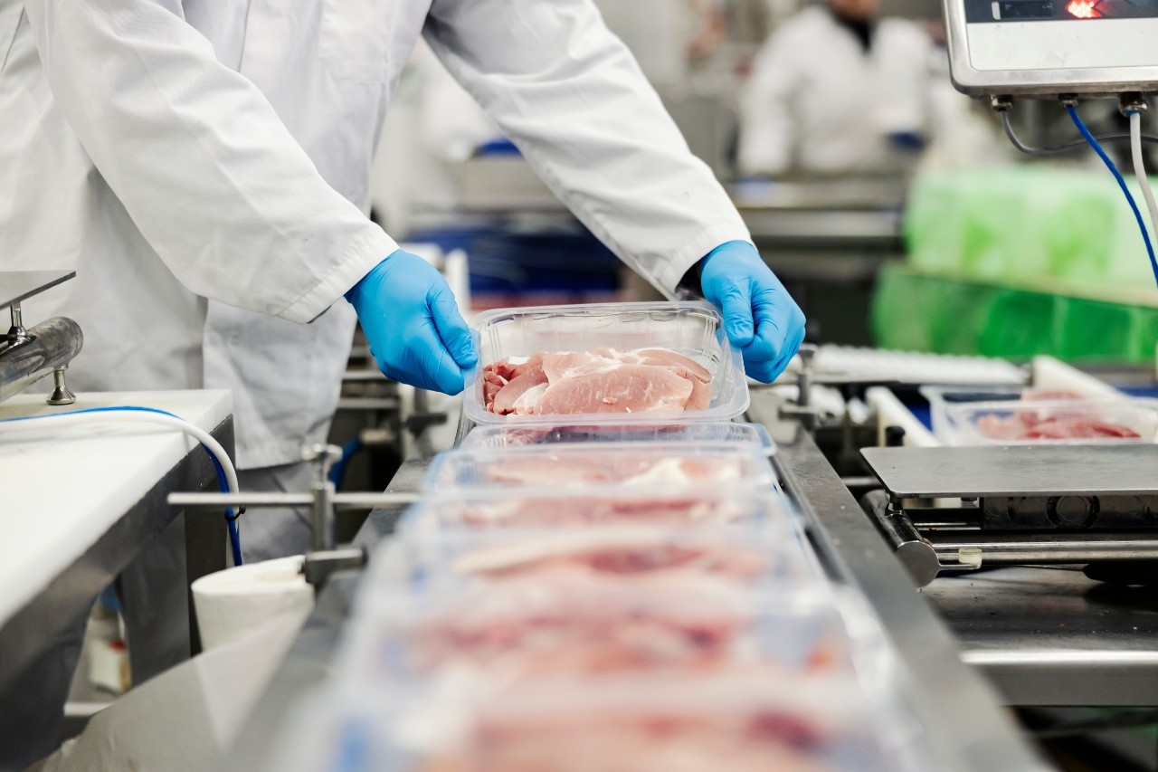 Lavorazione del confezionamento di polpette di carne e salsiccia su cibo  confezionatrice sottovuoto in fabbrica industriale alimentare Foto stock -  Alamy